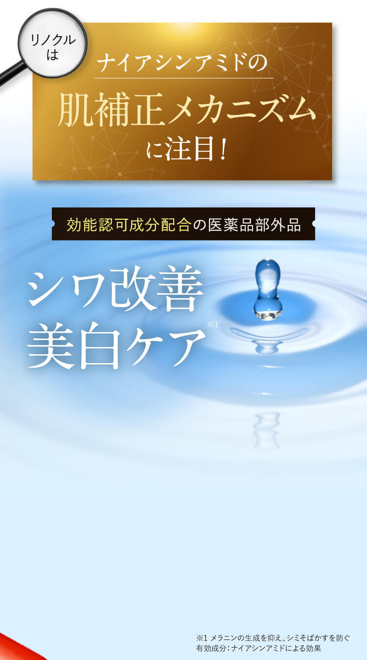 ナイアシンアミドのメカニズムに注目